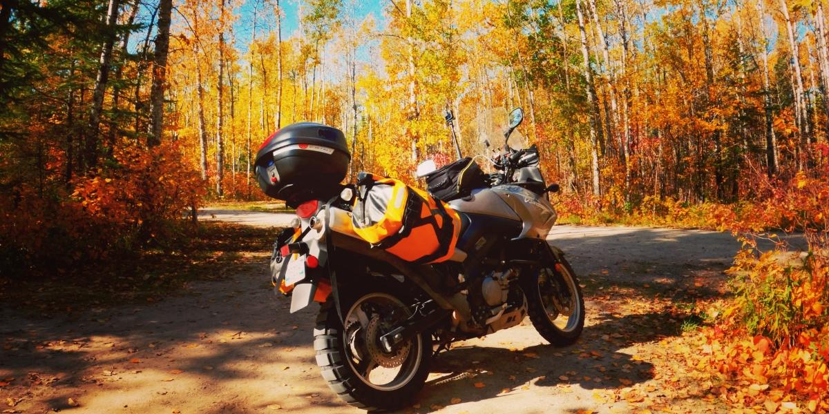 A picture of Noel Linsey's motorcycle surrounded by fall foliage in North Whiteshell, Manitoba.